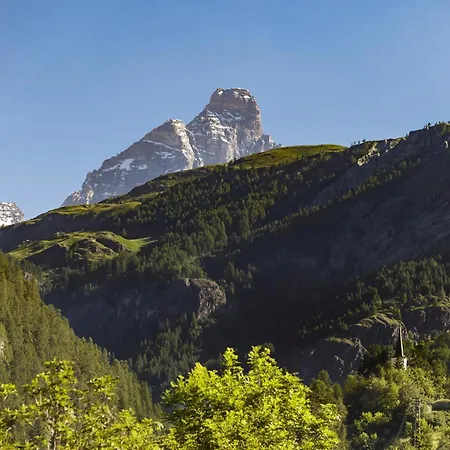 Bed & Breakfast Matterhorn Francois - Alpine With Private & Breakfast